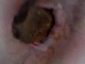 Free Scat Porn
