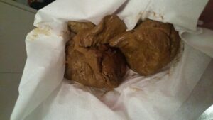 Free Scat Porn