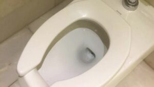 Free Scat Porn