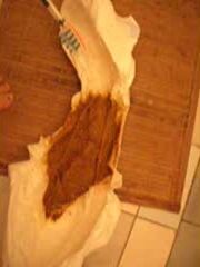 Free Scat Porn
