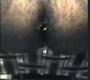 Free Scat Porn