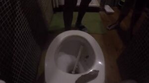 Free Scat Porn
