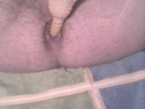 Free Scat Porn