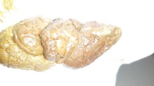 Free Scat Porn