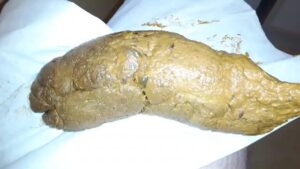 Free Scat Porn