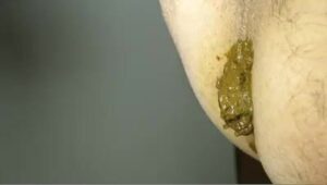 Free Scat Porn