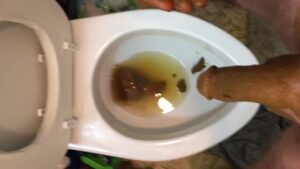 Free Scat Porn