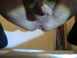 Free Scat Porn
