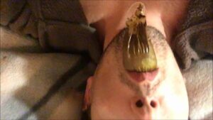 Free Scat Porn