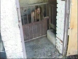 Free Scat Porn