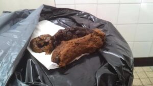 Free Scat Porn