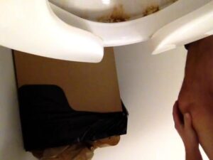 Free Scat Porn