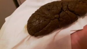 Free Scat Porn