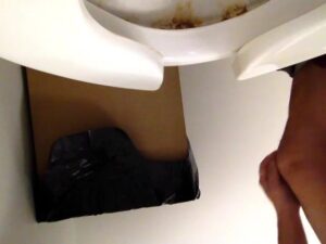 Free Scat Porn