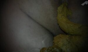 Free Scat Porn