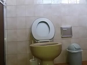 Free Scat Porn