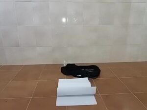 Free Scat Porn