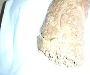 Free Scat Porn