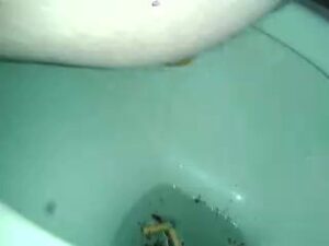 Free Scat Porn