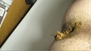 Free Scat Porn