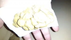 Free Scat Porn