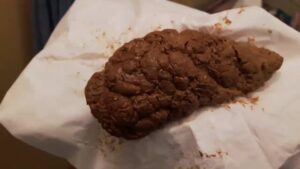 Free Scat Porn