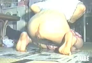 Free Scat Porn