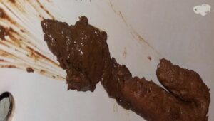 Free Scat Porn