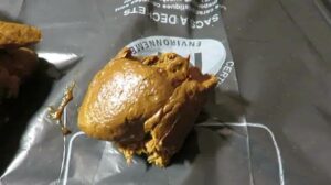 Free Scat Porn