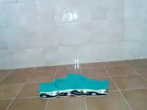 Free Scat Porn