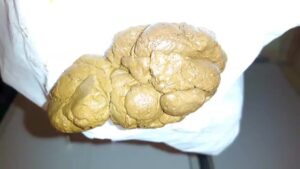 Free Scat Porn