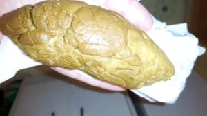 Free Scat Porn