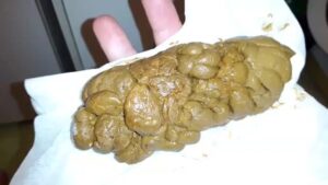 Free Scat Porn