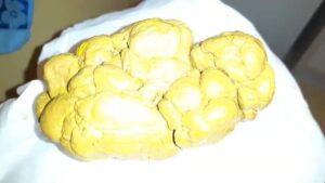 Free Scat Porn