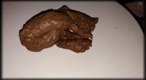 Free Scat Porn
