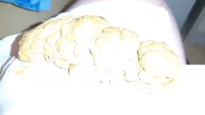 Free Scat Porn