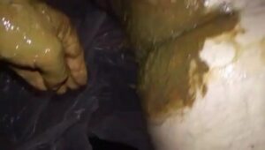 Free Scat Porn