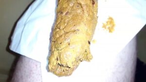 Free Scat Porn