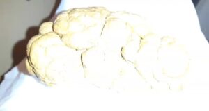 Free Scat Porn