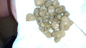 Free Scat Porn