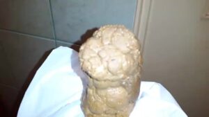 Free Scat Porn