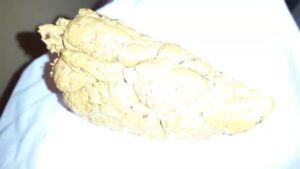 Free Scat Porn