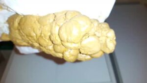 Free Scat Porn