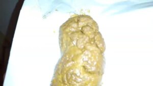 Free Scat Porn