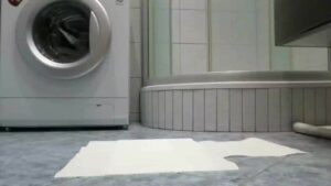 Free Scat Porn