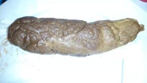 Free Scat Porn