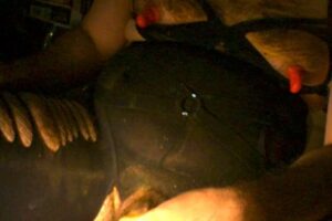 Free Scat Porn