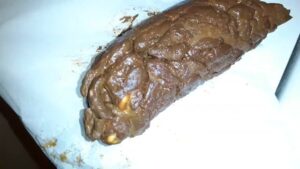 Free Scat Porn