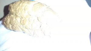 Free Scat Porn