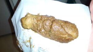 Free Scat Porn
